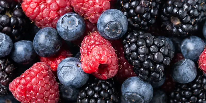 Vista previa del Sistema de Gestión Agrícola